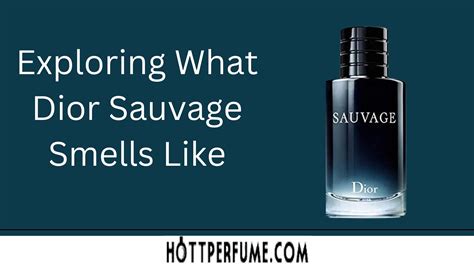 dior sauvage parfum clone|colognes that smell like sauvage.